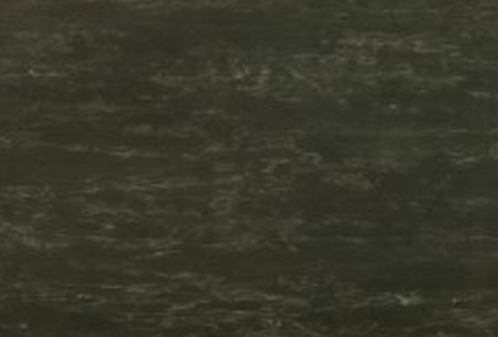 Dark_Moss