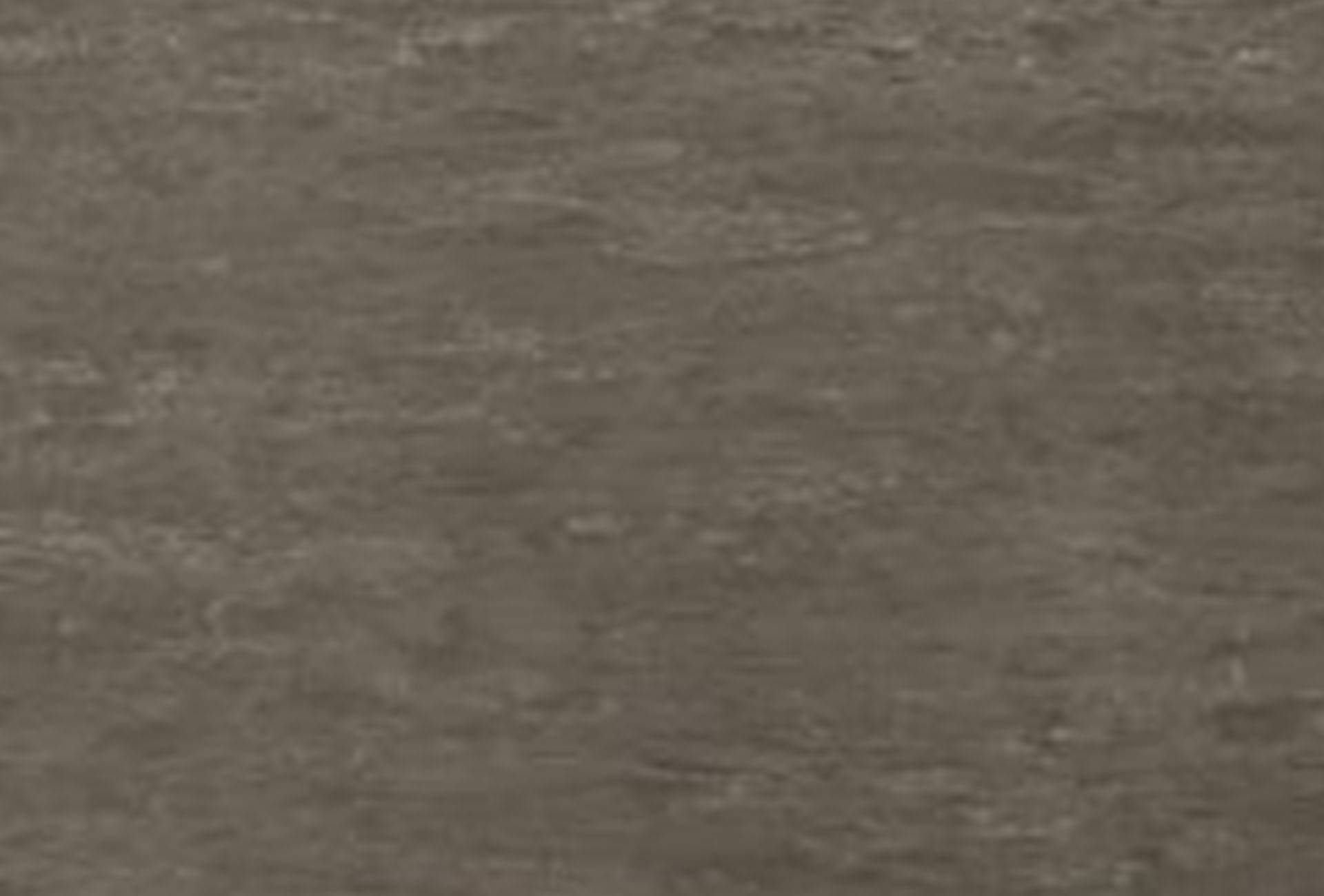 Gray_Feather