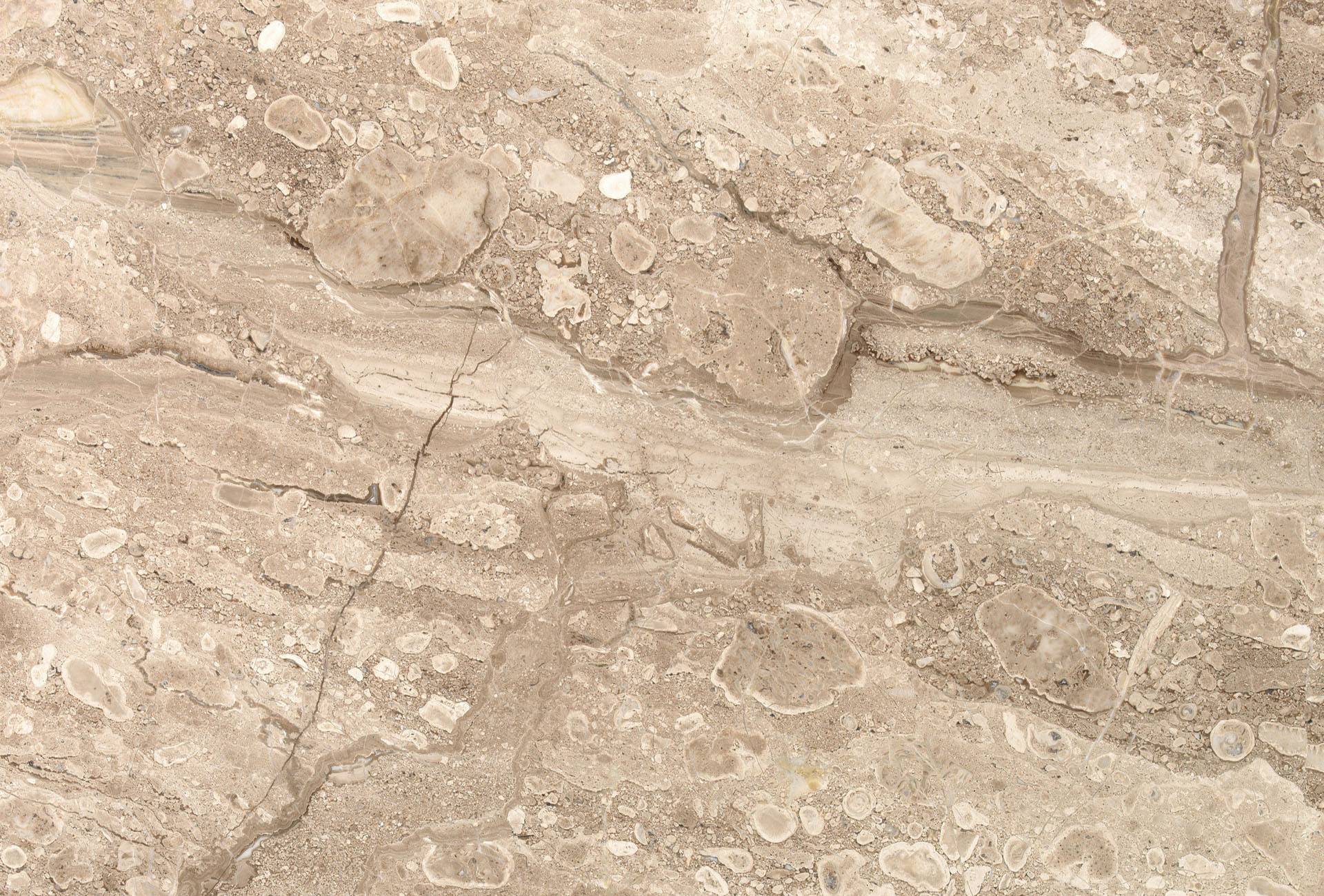 breccia-sarda